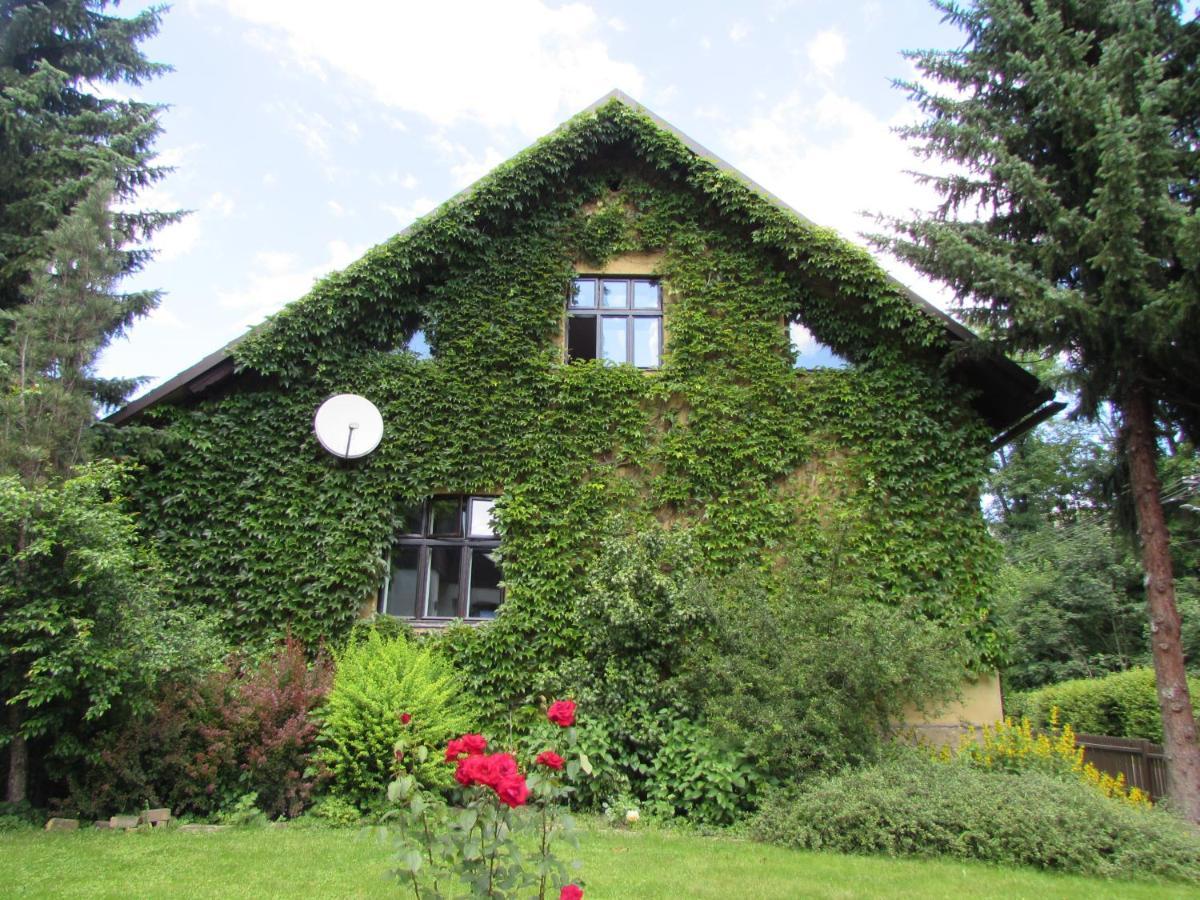 Dum U Rybnika Villa Nydek Kültér fotó