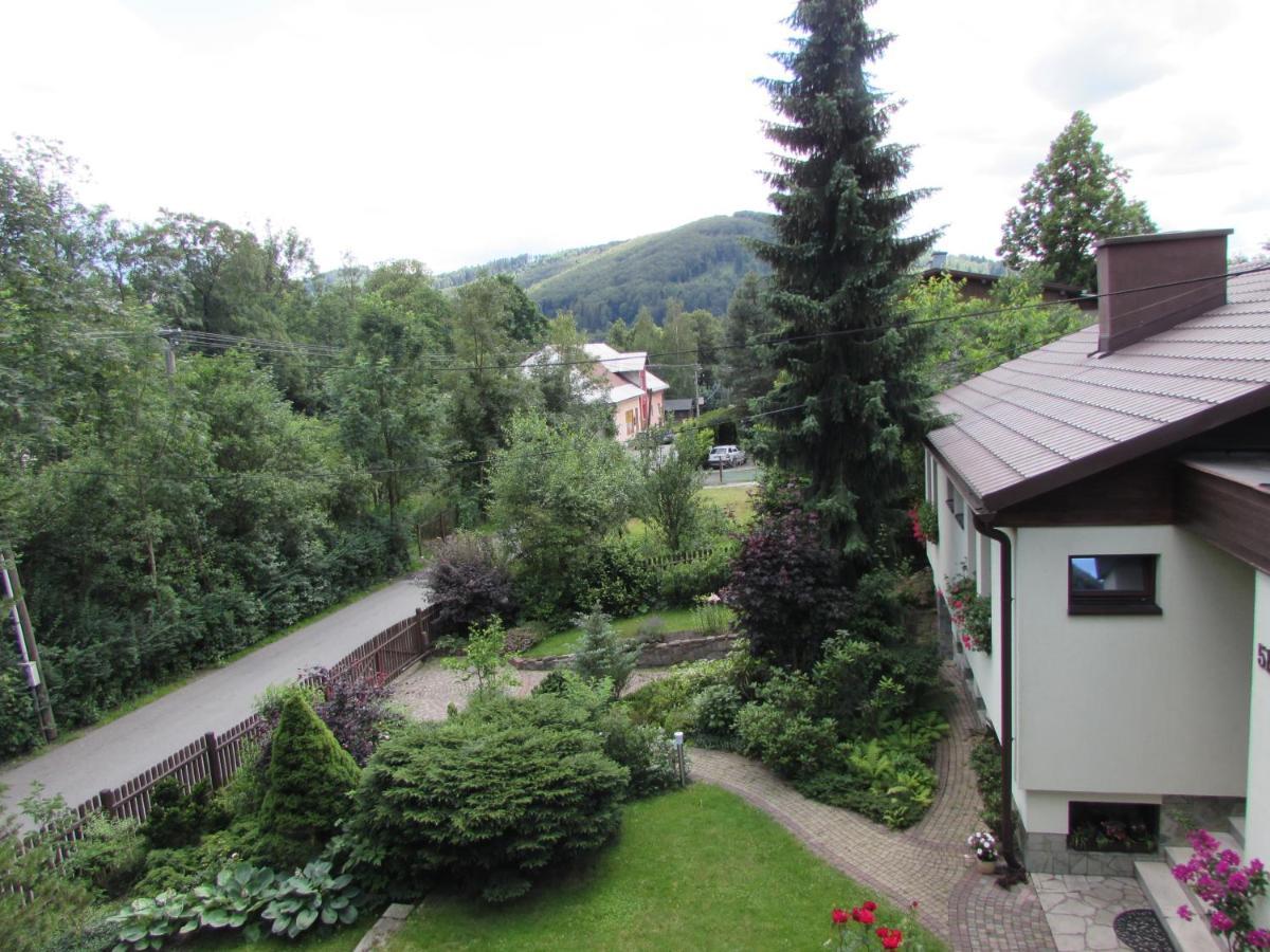 Dum U Rybnika Villa Nydek Kültér fotó