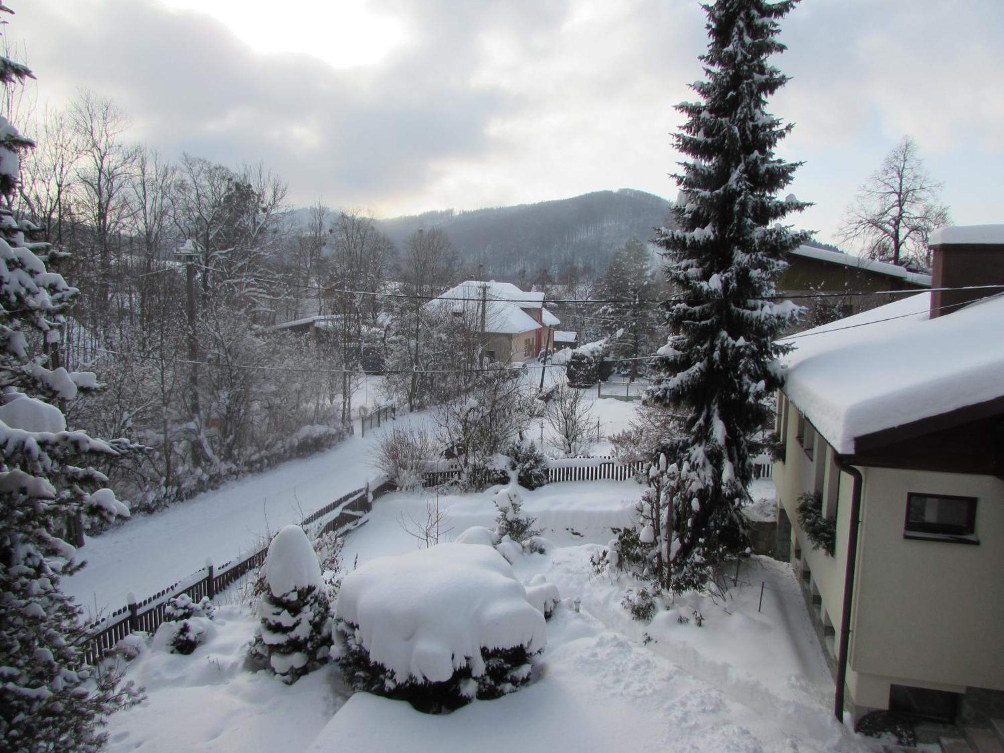 Dum U Rybnika Villa Nydek Kültér fotó
