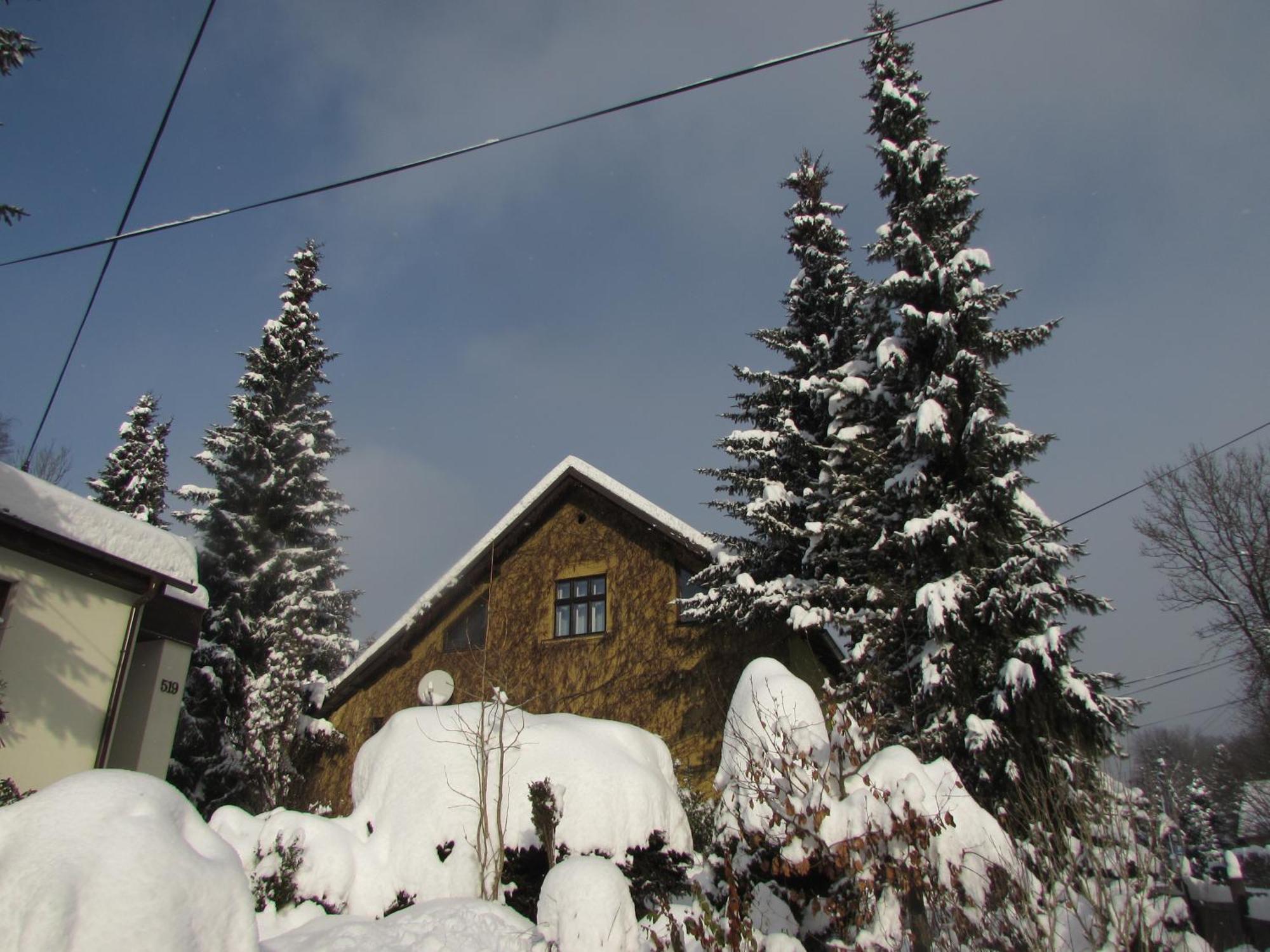 Dum U Rybnika Villa Nydek Kültér fotó